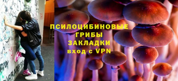 МДПВ Горнозаводск