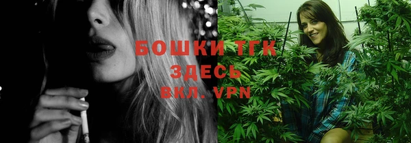 МДПВ Горнозаводск