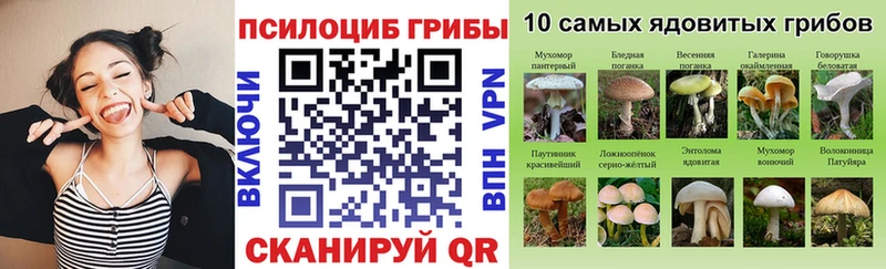 Галлюциногенные грибы мухоморы  Купить закладки  Тулун 
